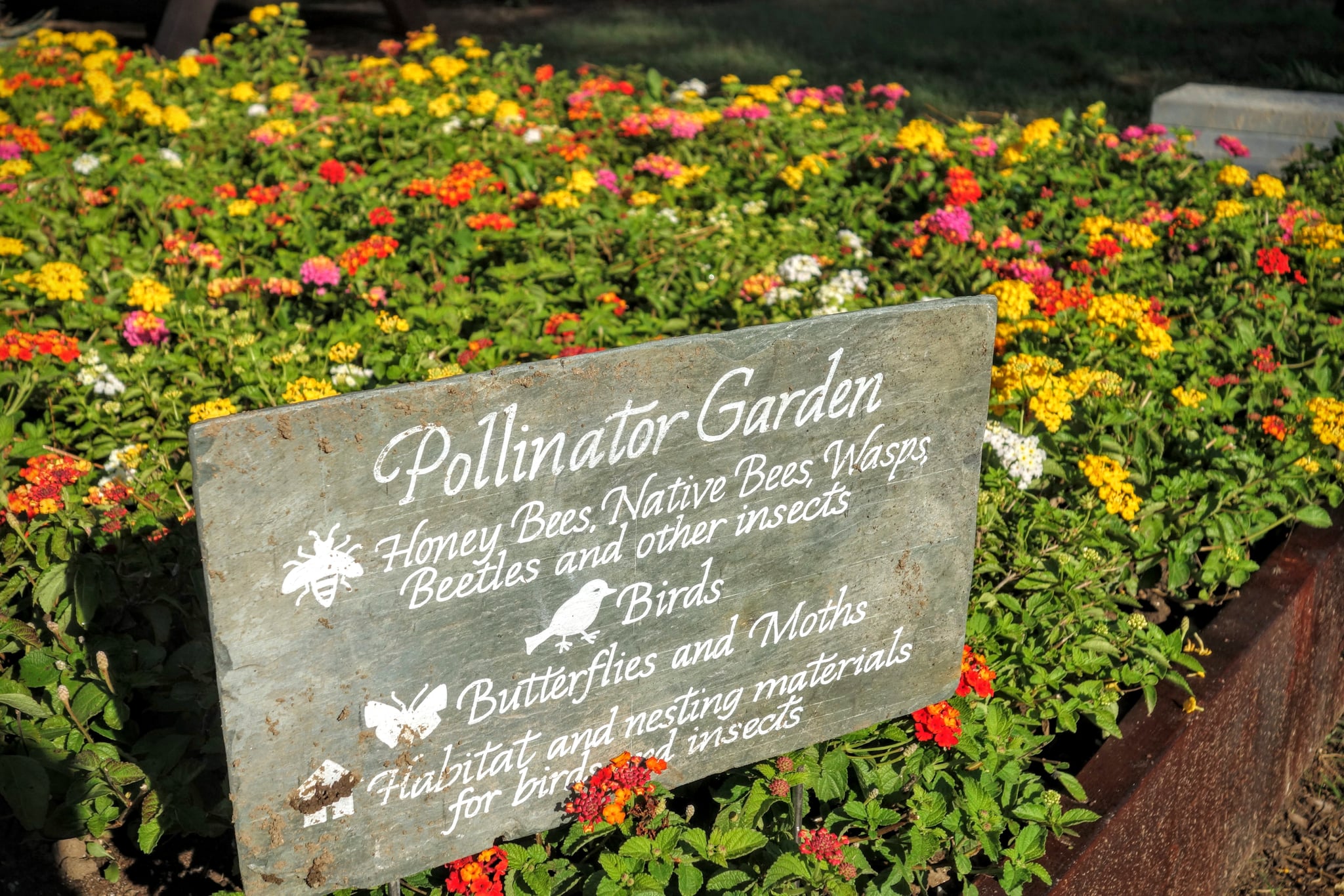 White House Kitchen Garden Tips POPSUGAR Food