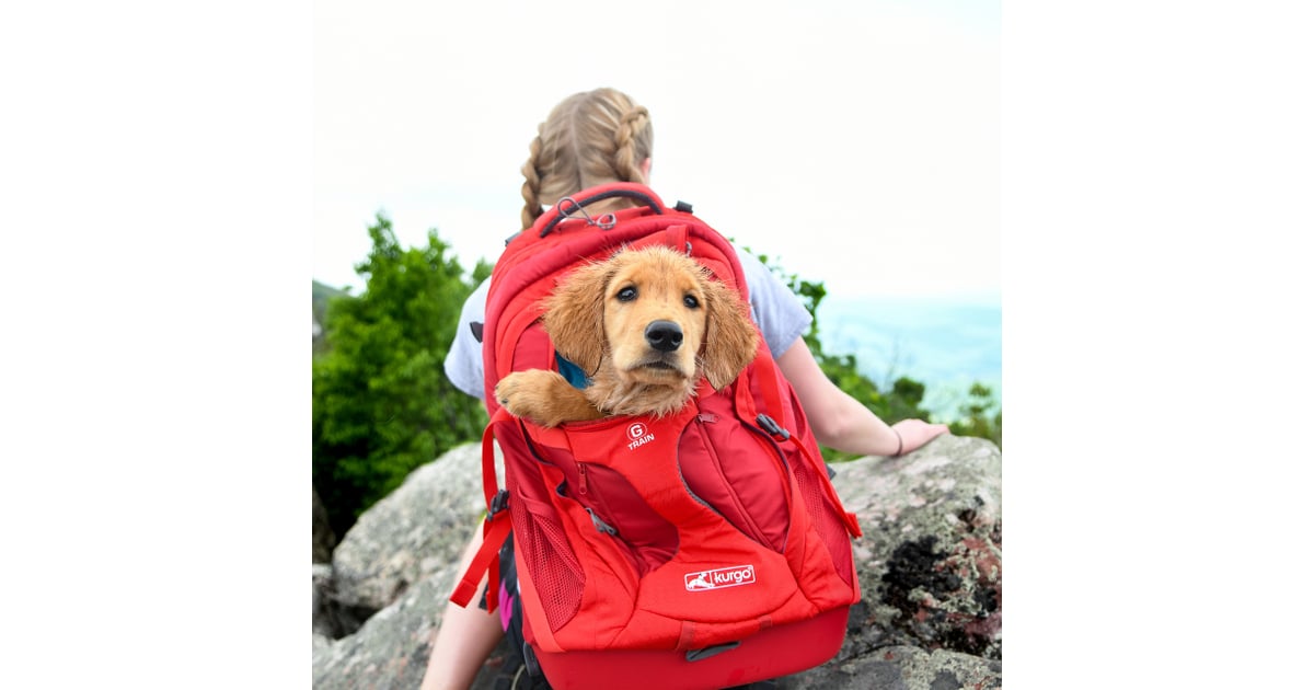 GTrain Dog Carrier Backpack Best Travel Products For Pets POPSUGAR