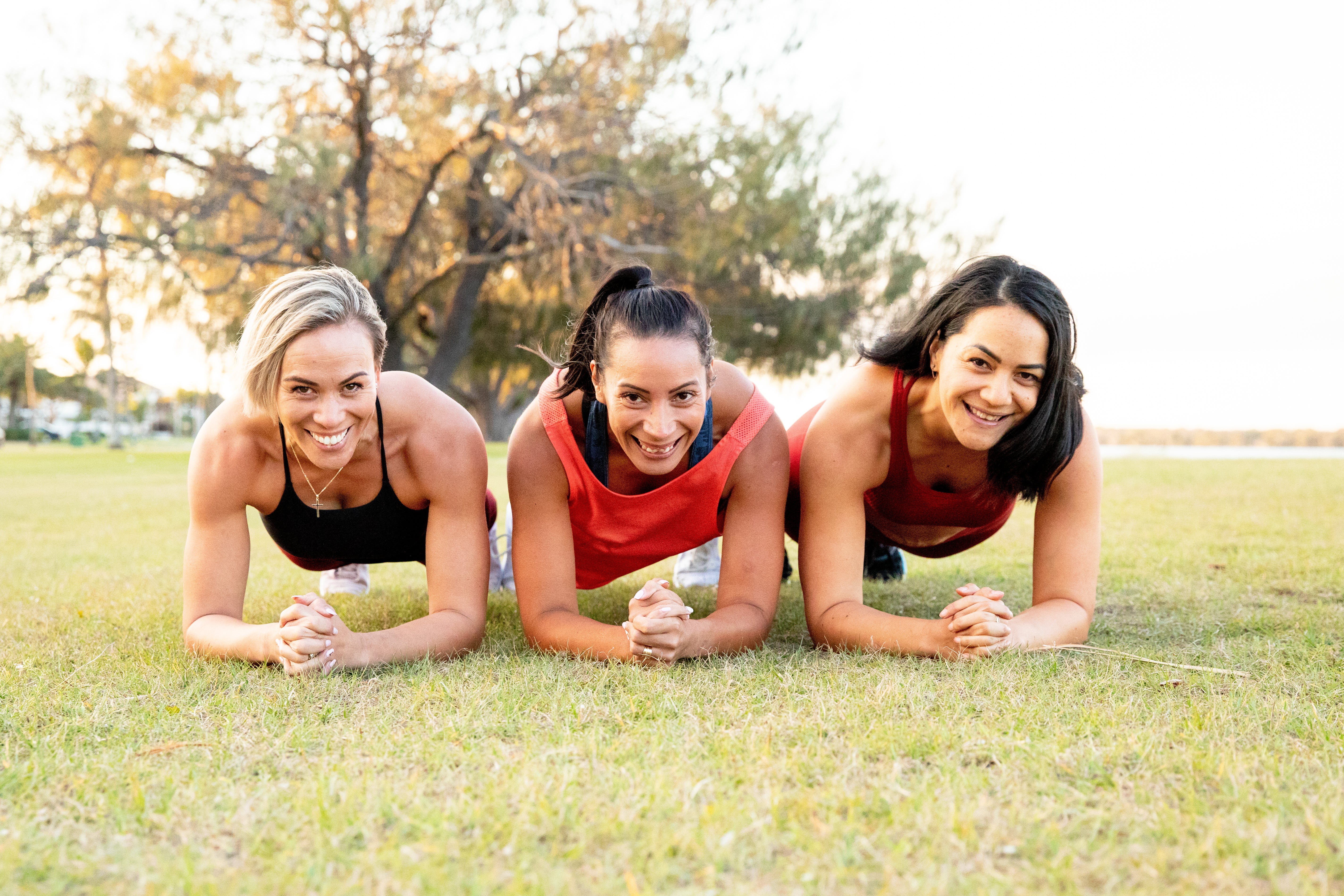 Plank burns belly fat cheap