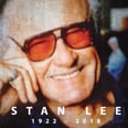 We Are a Puddle of Tears After Watching Marvel Studios' Tribute to Stan Lee