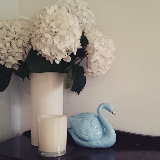 White hydrangeas in a white vase equals monochromatic chic. 
Source: Instagram user eyethemagpie