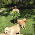 26 Times Oprah Winfrey Gave Us Peeks Inside Her Stunning Homes