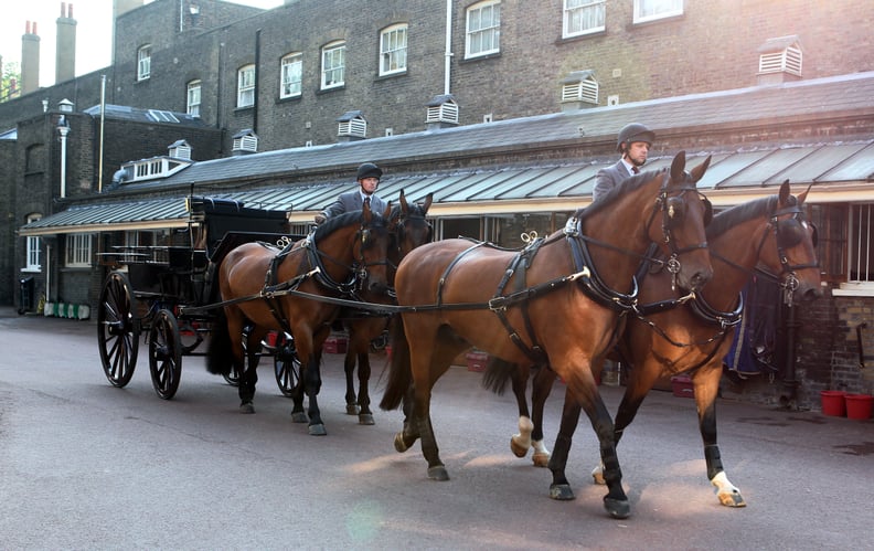 All The Queen's Horses