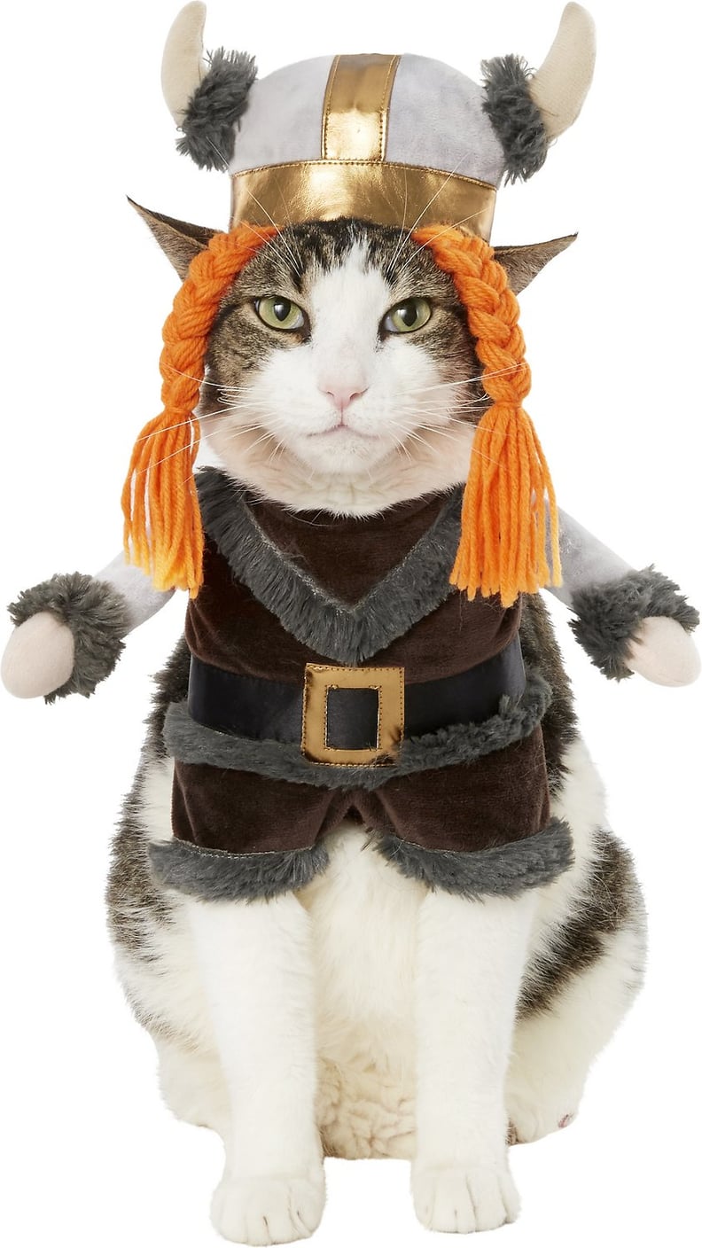 Frisco Viking Cat Costume