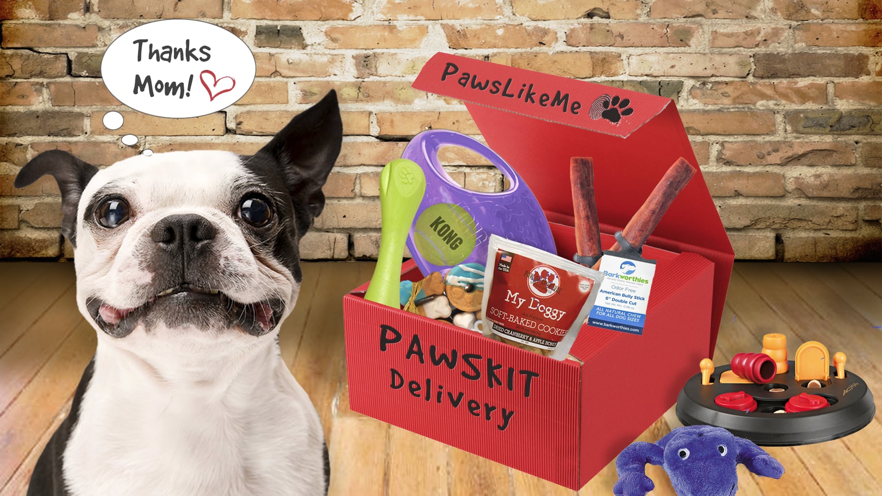 Dog boxes new arrivals near me