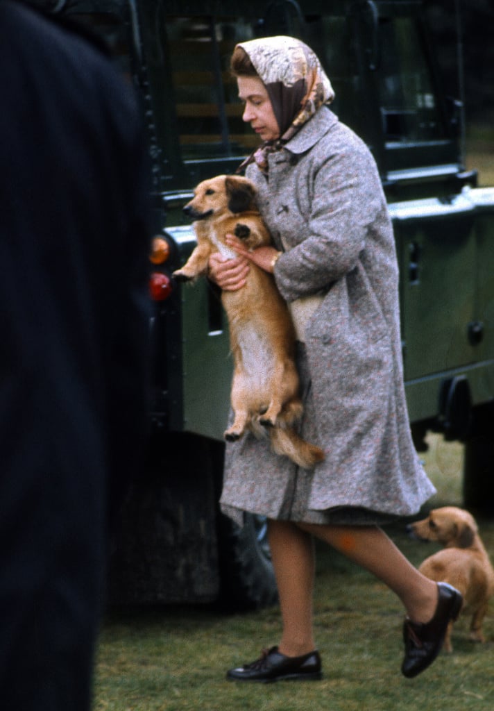 Why Did Queen Elizabeth Have So Many Corgis?