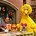 Sesame Place Becomes First Autism-Certified Theme Park