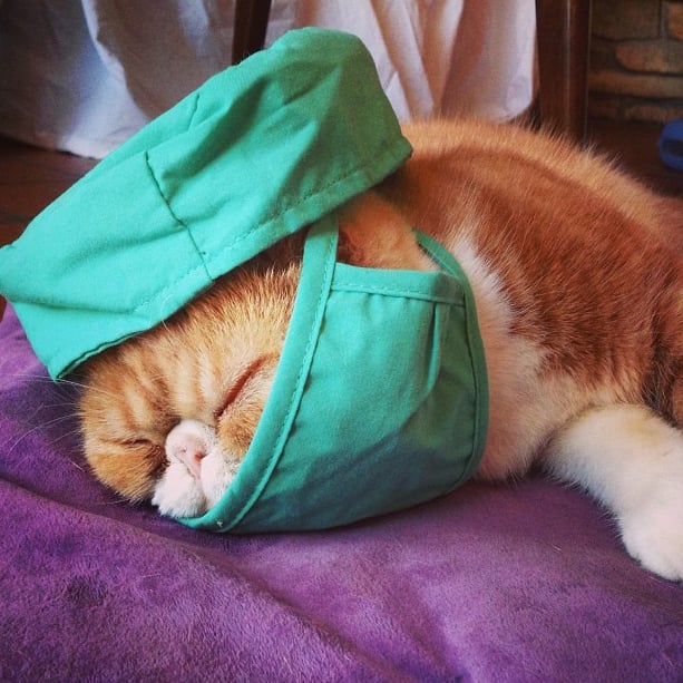 I can do that life-saving surgery later, right?