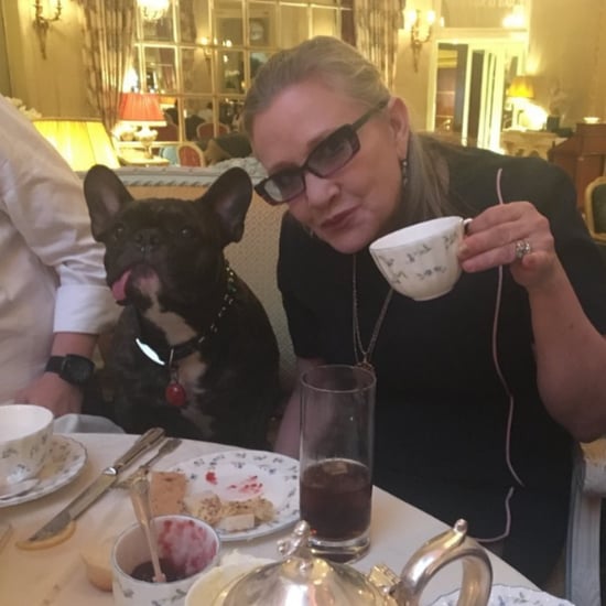 Carrie Fisher's Dog, Gary, Instagrams
