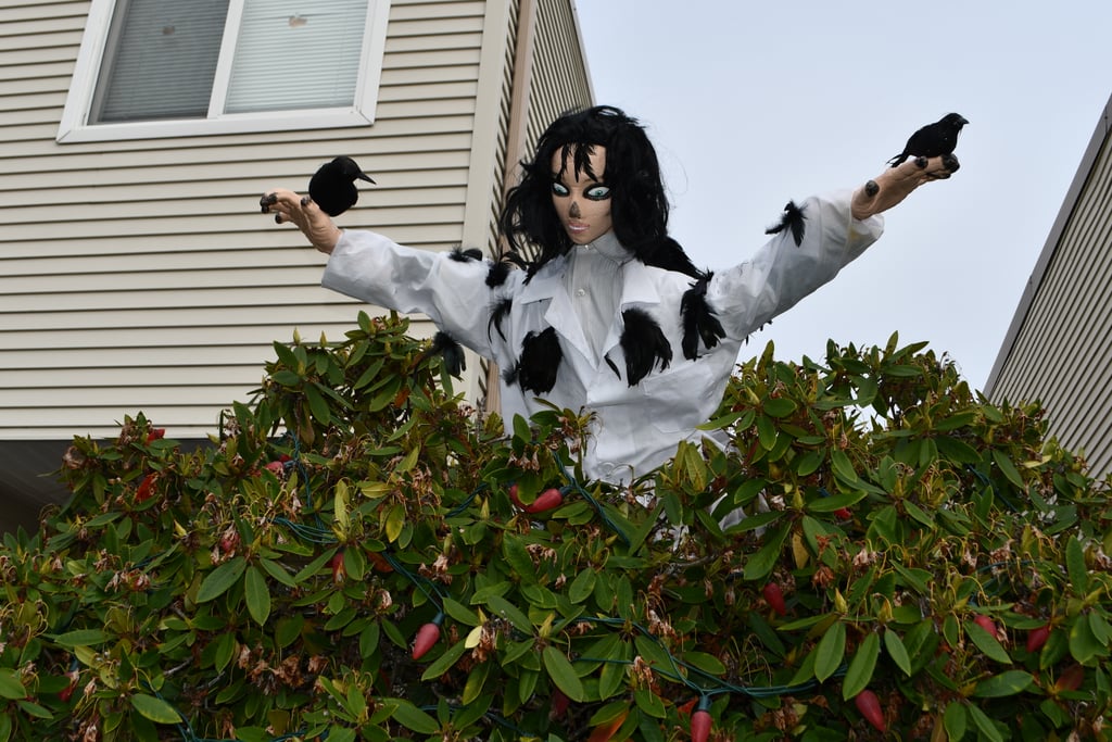 This Guy's Schitt's Creek Halloween Decorations Are Amazing