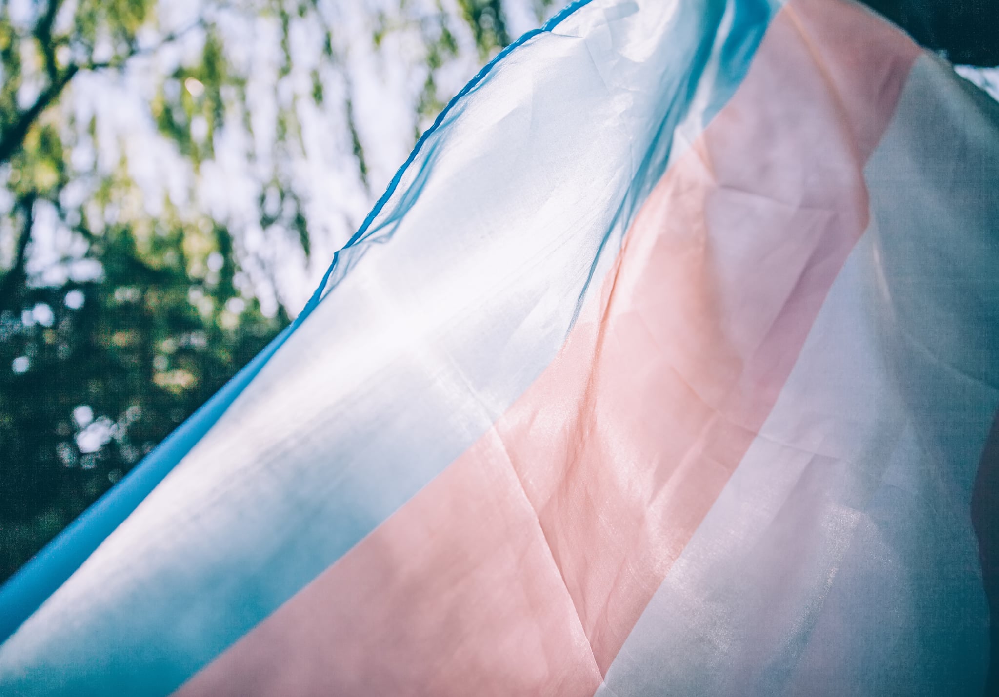 closeup of a transgender pride flag waving on the blue sky, moved by the wind