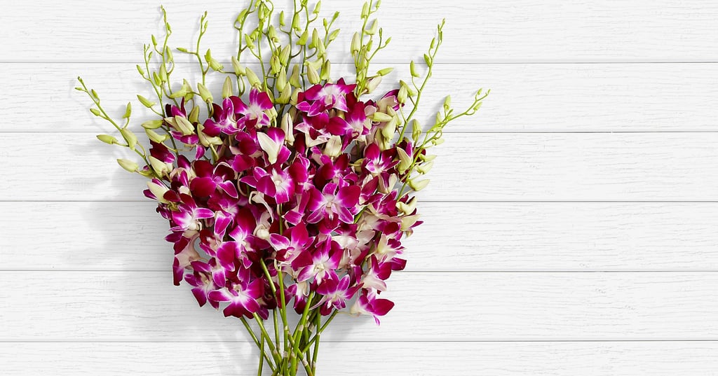 Purple Dendrobium Orchids