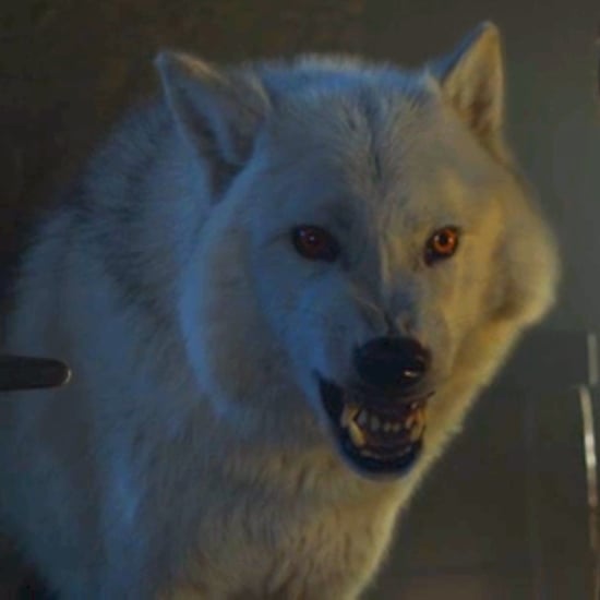 Did Jon Snow Warg Into His Wolf Ghost on Game of Thrones?