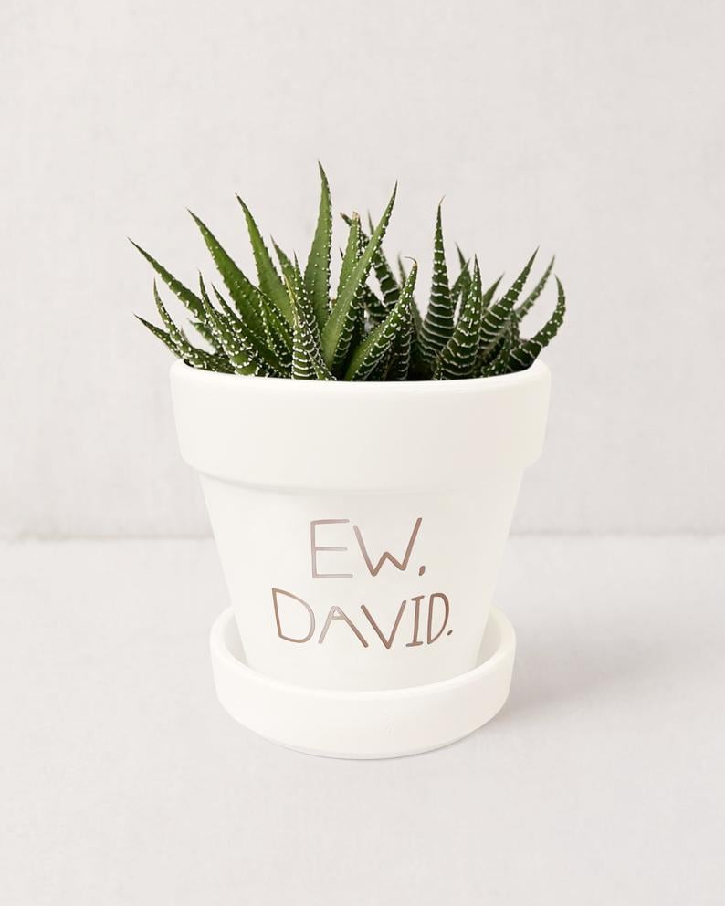 Ew David. Planter