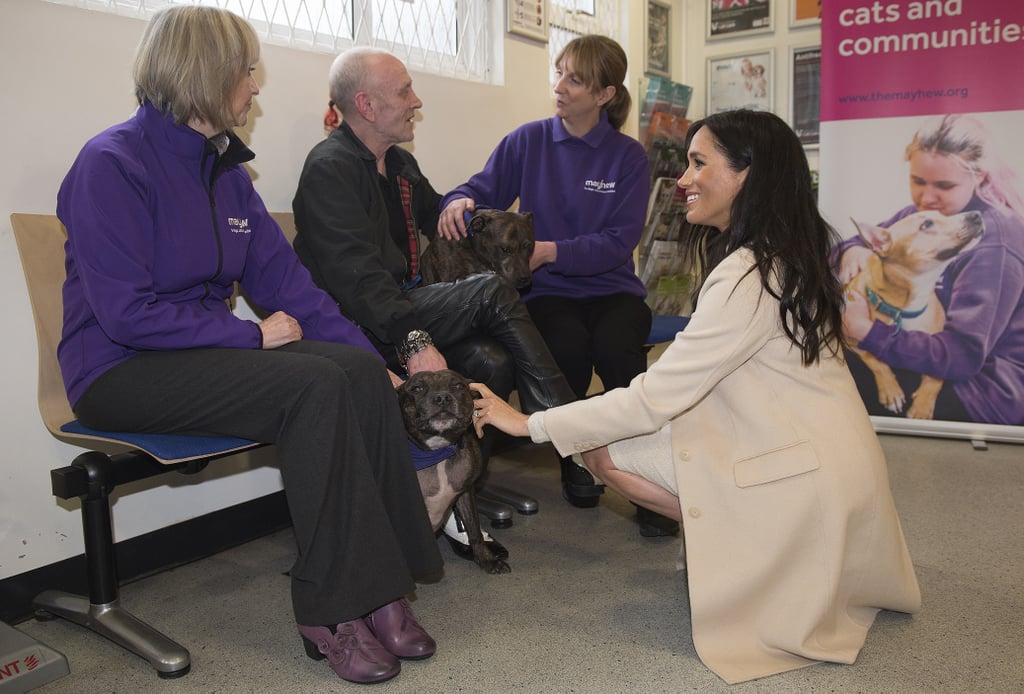 Meghan Markle With Animals Pictures