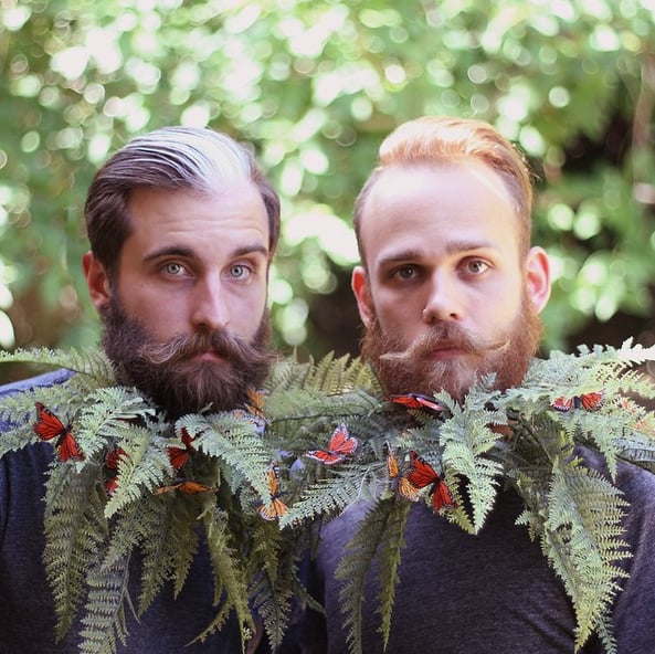 Ferns and Butterflies