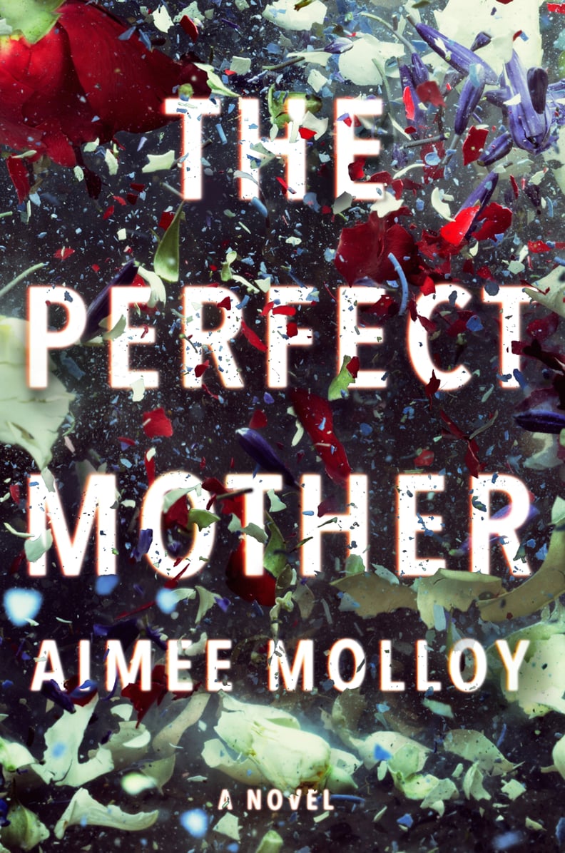 The Perfect Mother by Aimee Molloy, Out May 1