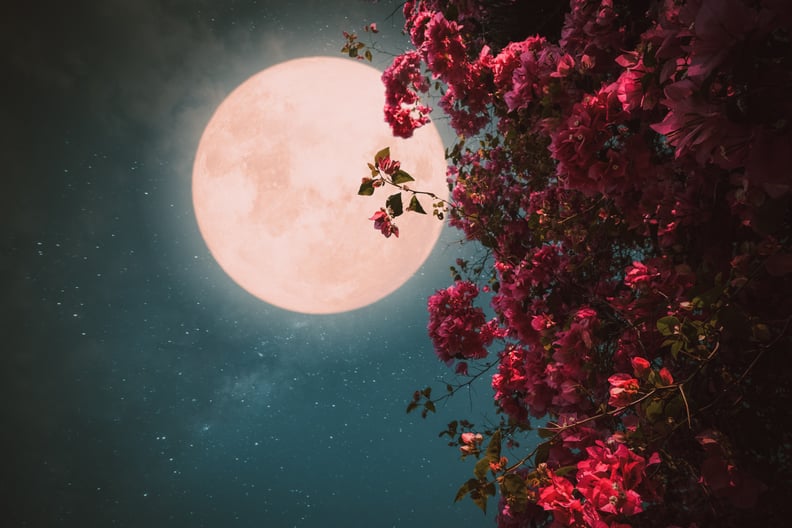 April Pink Moon Spiritual Meaning