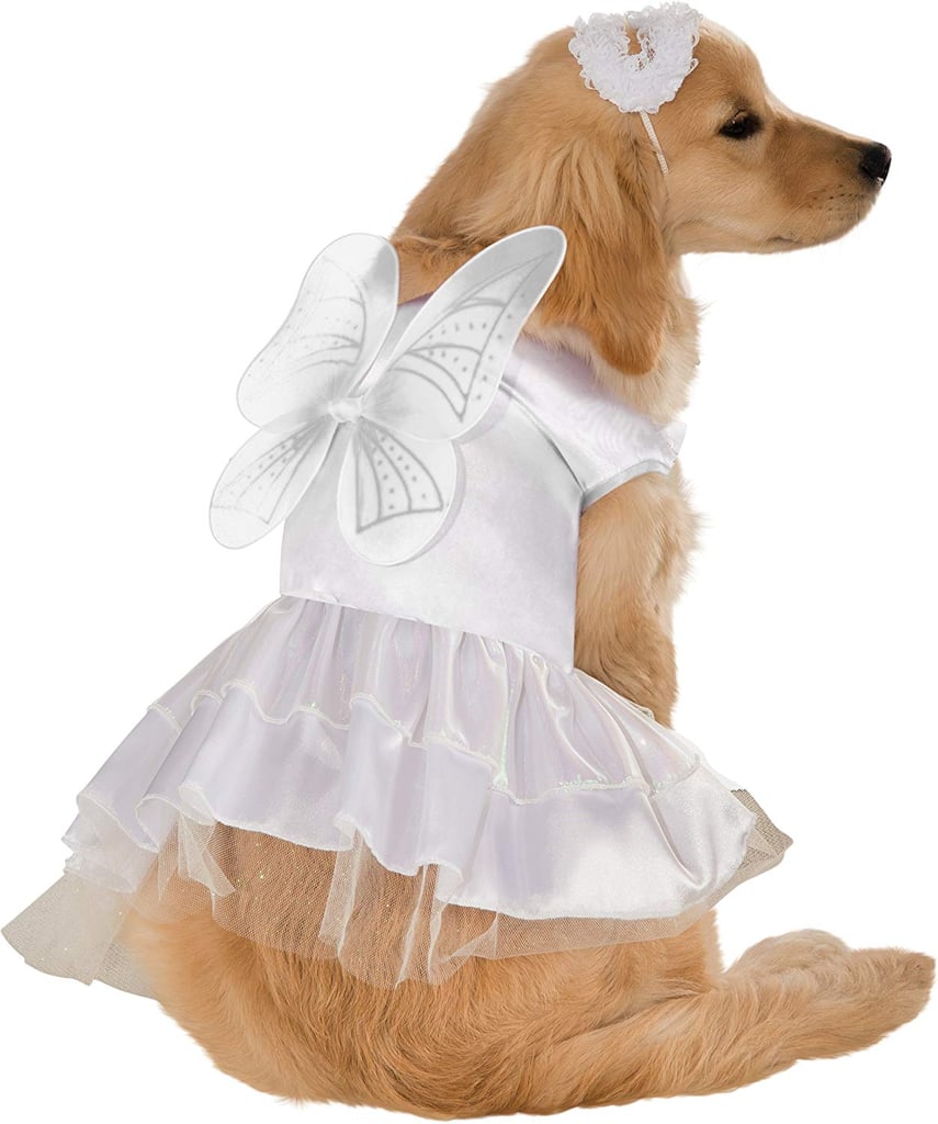 Angel Pet Costume