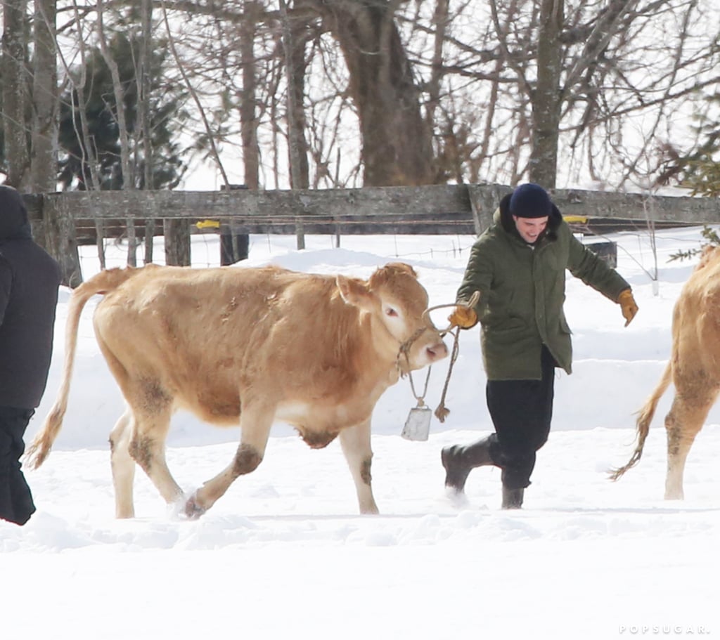 Robert Pattinson Herding Cattle on Set of Life in Vancouver