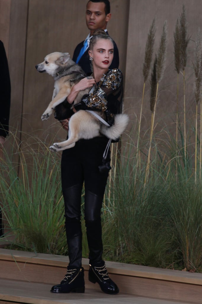 Cara Delevingne Brings a Dog to the Chanel Couture Show 2016