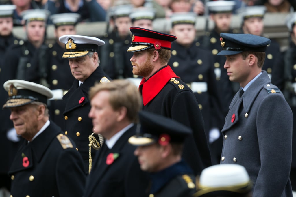 Prince Harry and Prince William on Remembrance Day 2015