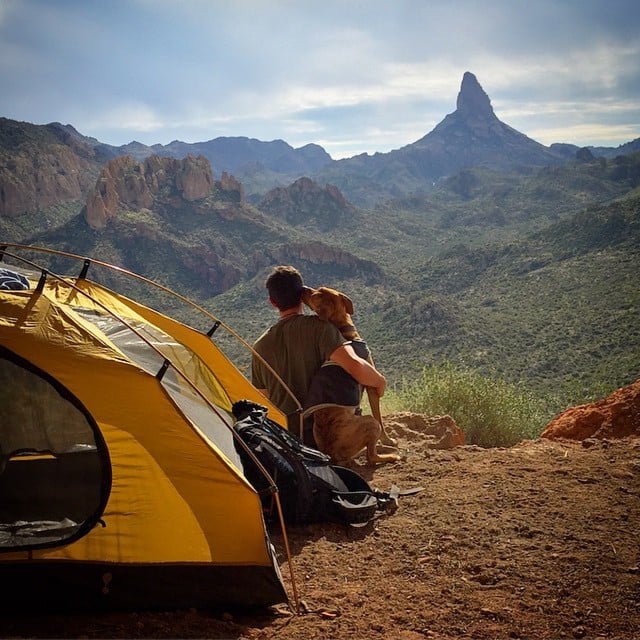 Photos of Dogs Camping
