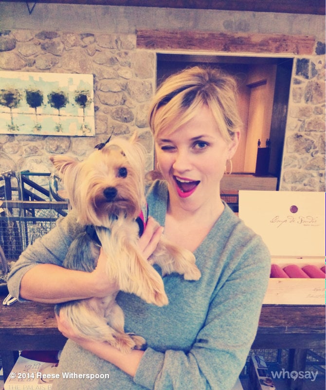 Reese Witherspoon found a new friend in Riley the Yorkie while hanging out with Drew Barrymore.
Source: Reese Witherspoon on WhoSay