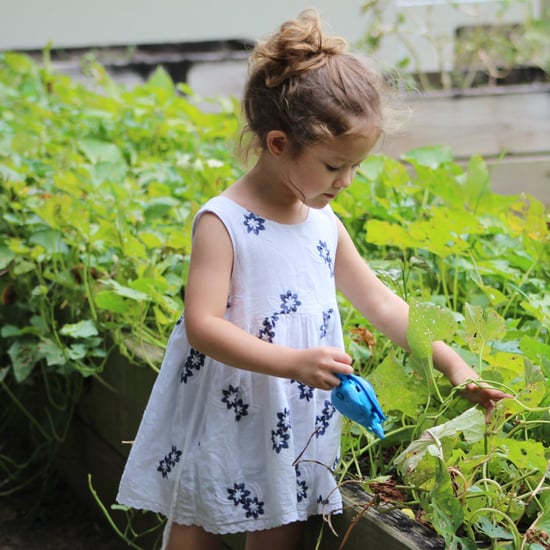 How to Grow a Garden With Kids