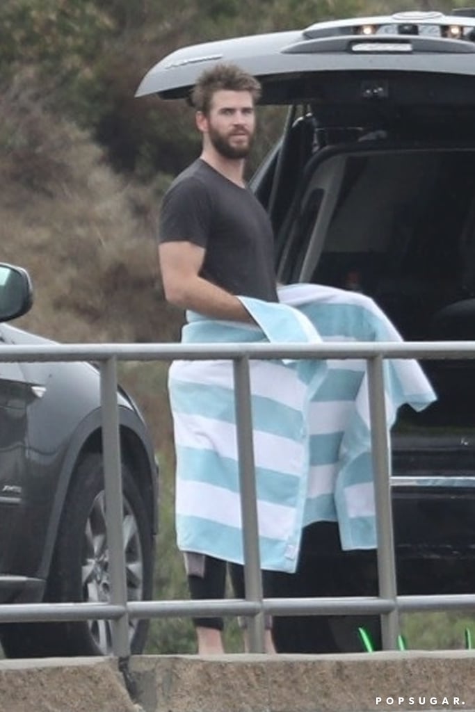 Liam Hemsworth Shirtless in Malibu Pictures March 2018