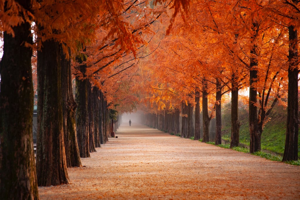 20 Beautiful and Cosy Fall Computer Backgrounds