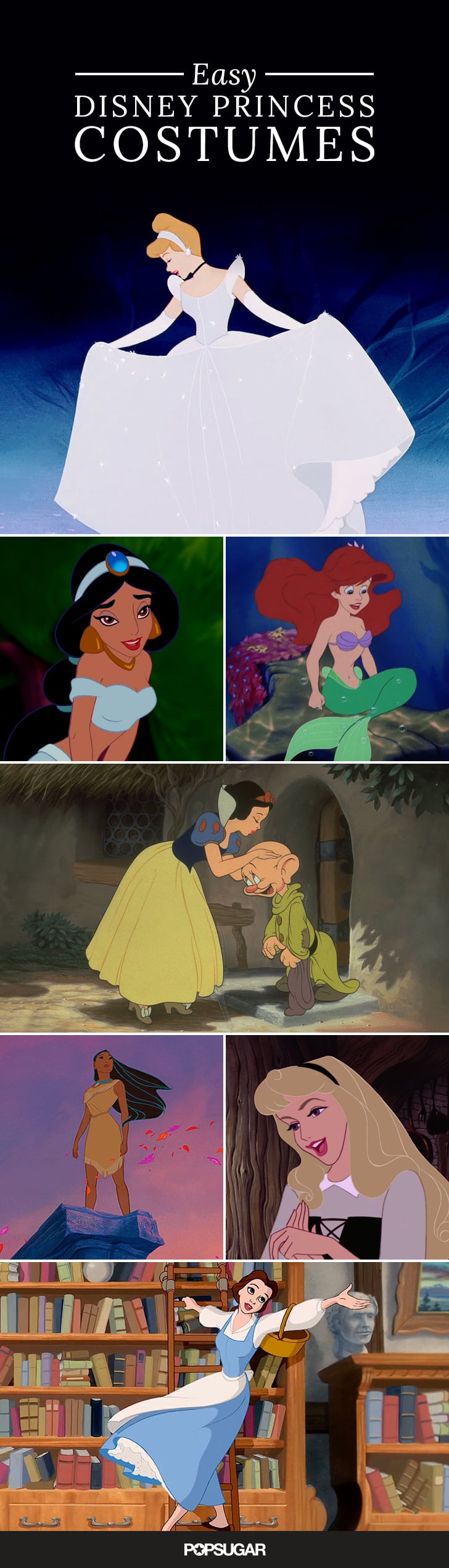 Disney Princess Halloween Costumes 2014