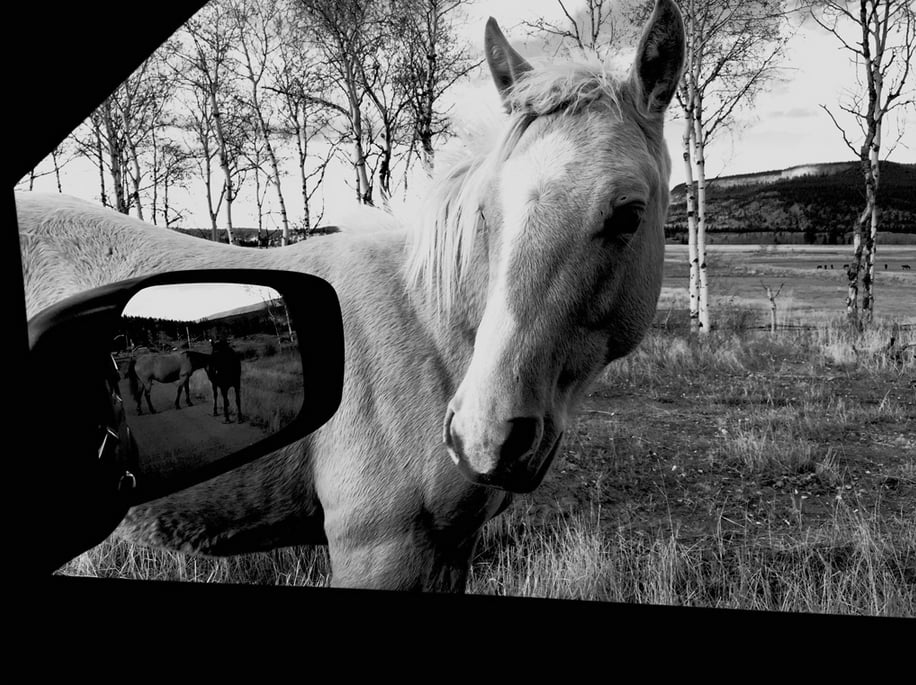 "Sometimes the physical elements in a scene, like the car window and side mirror here, can frame a photo."