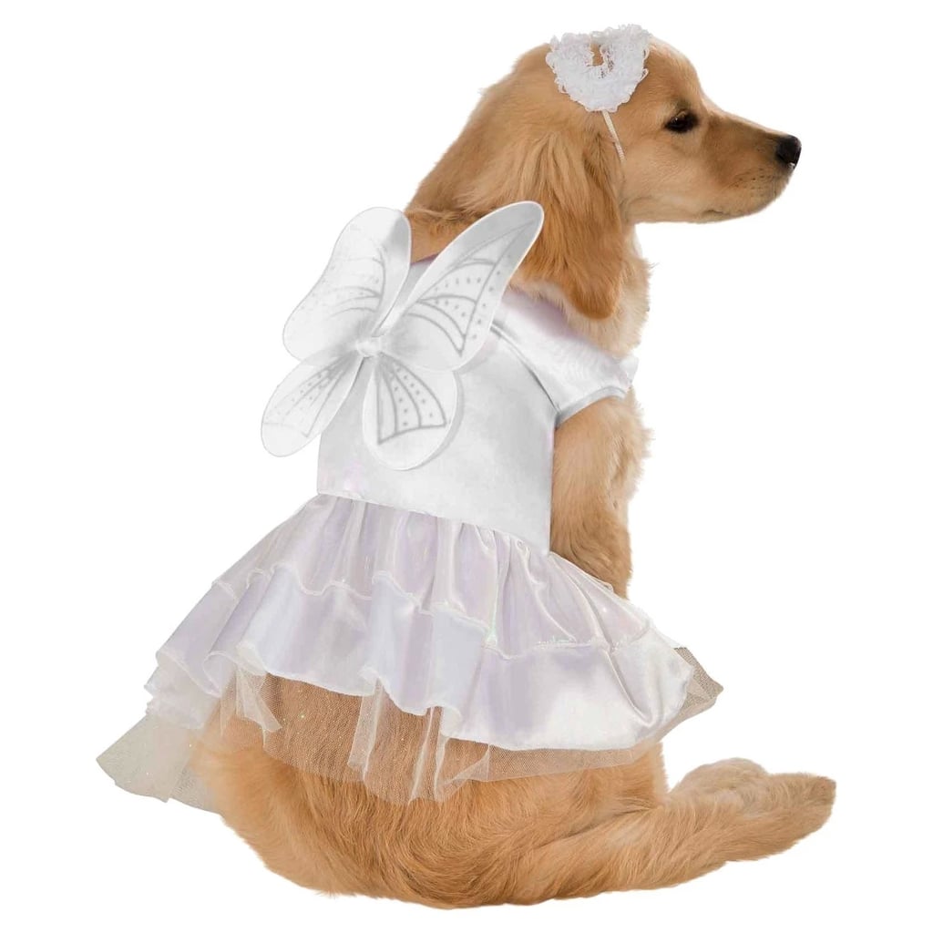 Angel Dog Costume