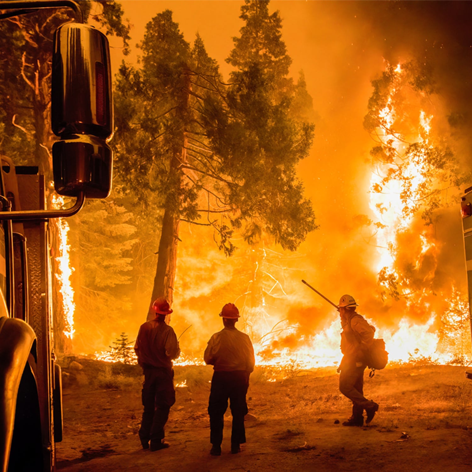 5 Ways To Help California Wildfire Victims In 2021 Popsugar News