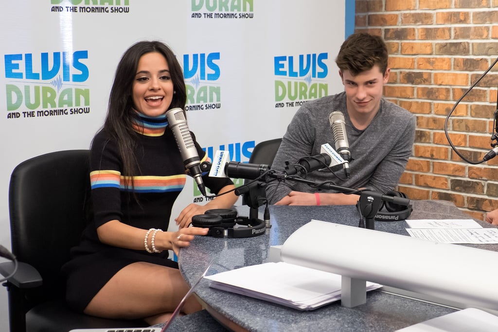 Camila Cabello and Shawn Mendes's Cutest Pictures