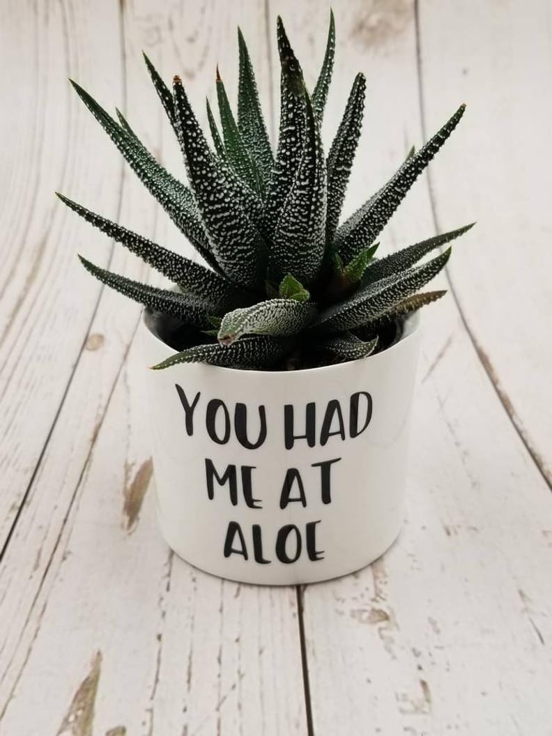 You Had Me at Aloe Punny Plant Pot