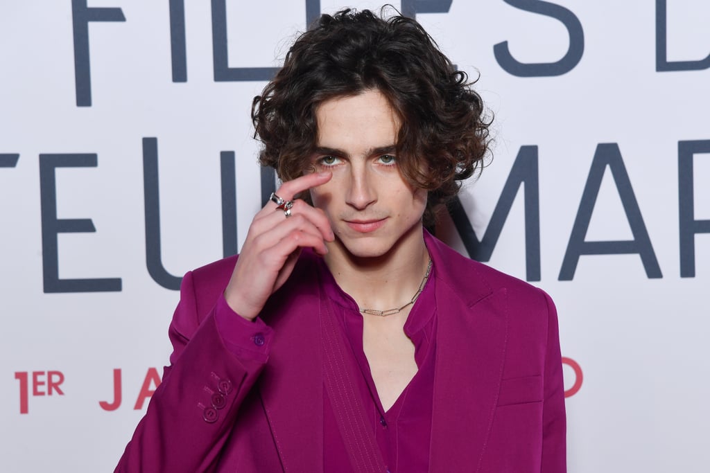 Timothee Chalamet's Raspberry-Colored Suit on the Red Carpet