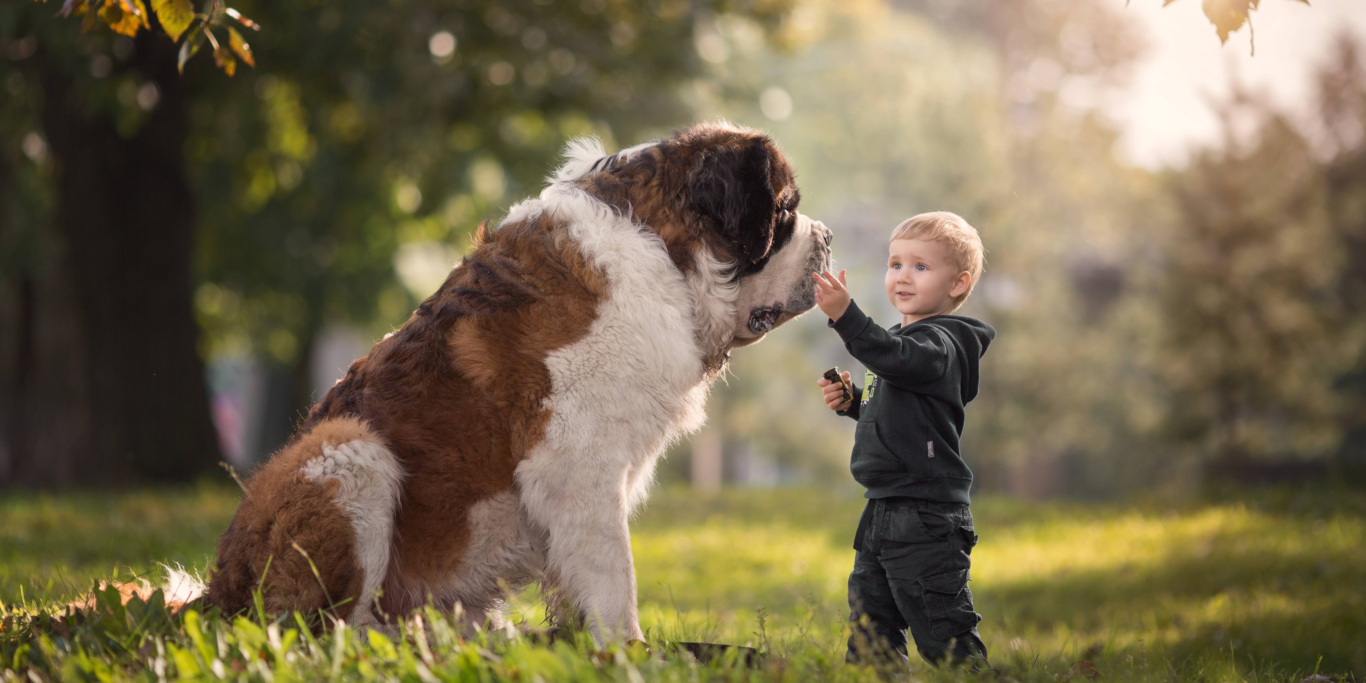 Photo Series on Big Dogs and Little Kids POPSUGAR Family