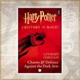 Class Is Back in Session With Harry Potter's New Series of Books About the History of Magic