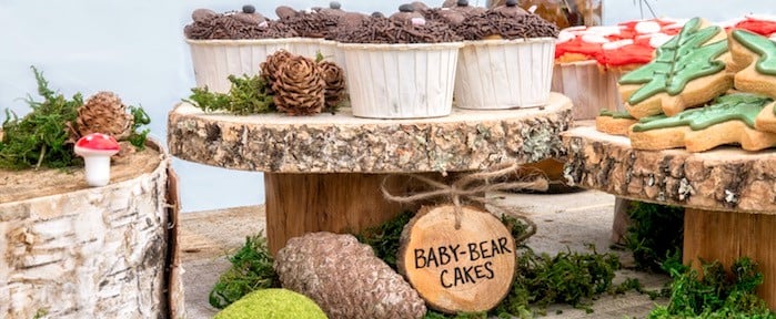 Wilderness-Themed Birthday Party