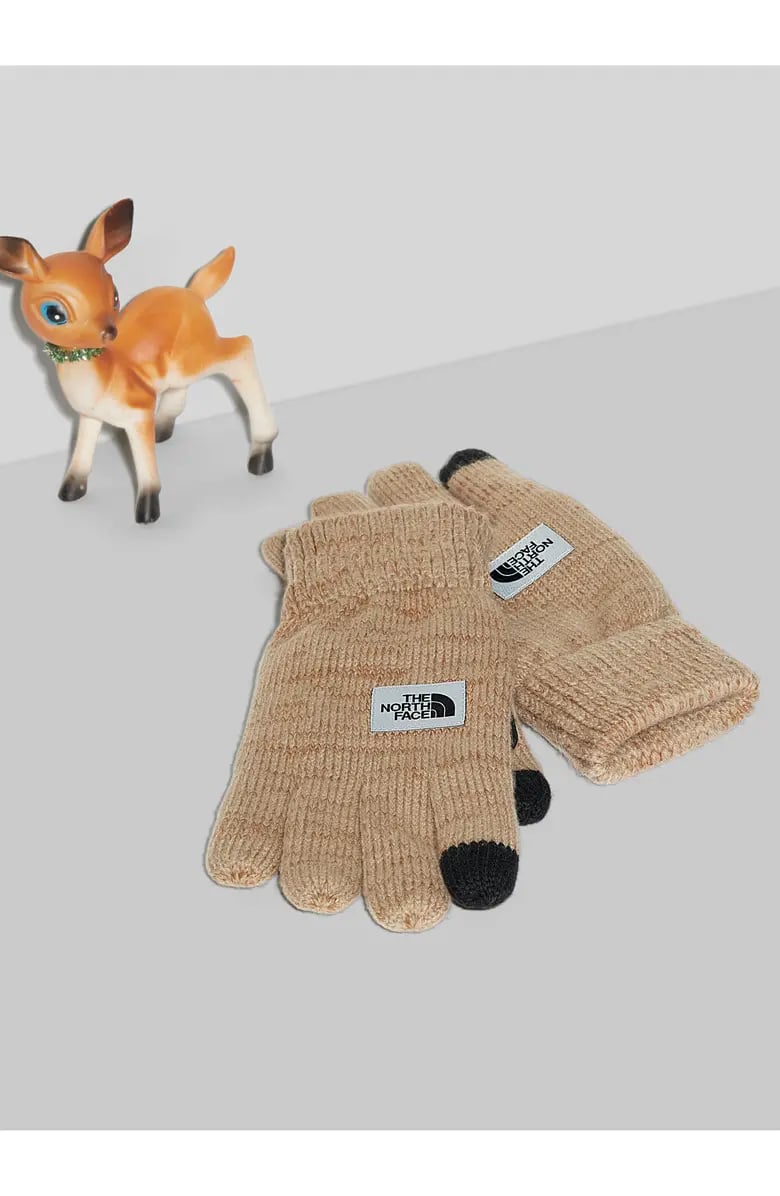 For Texting: The North Face Etip Salty Dog Knit Tech Gloves