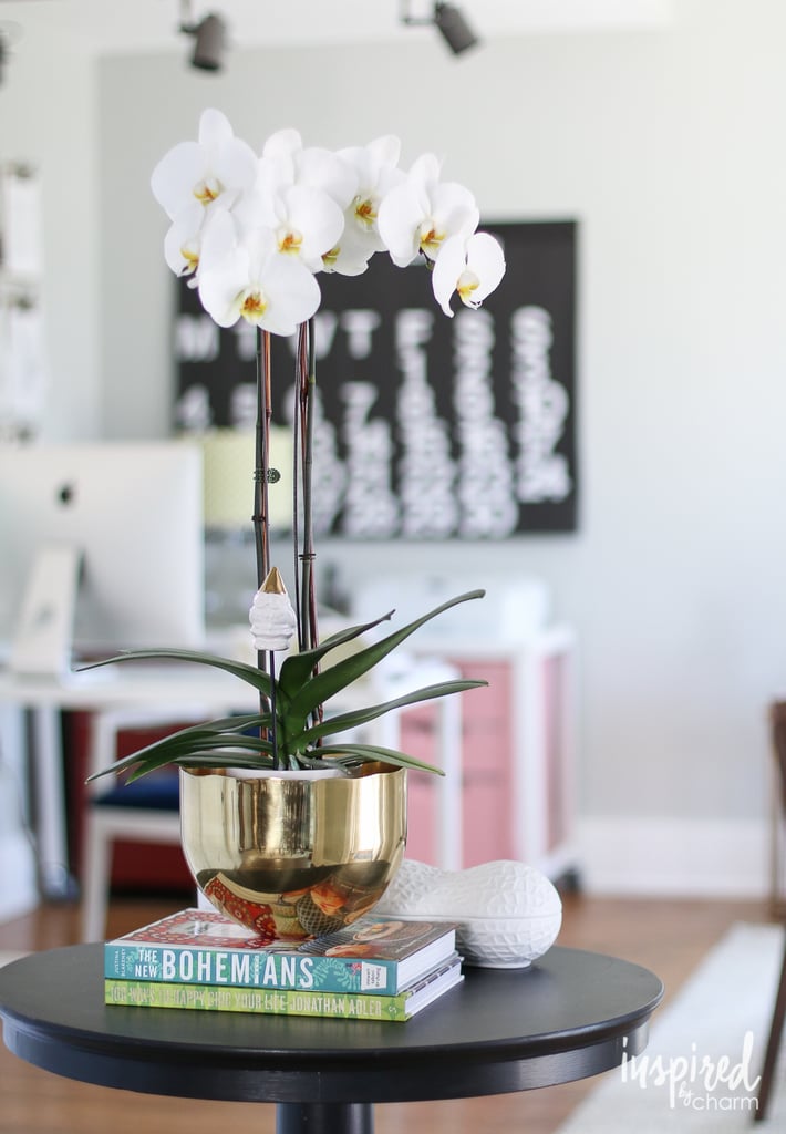 How To Keep Orchids Alive Popsugar Home
