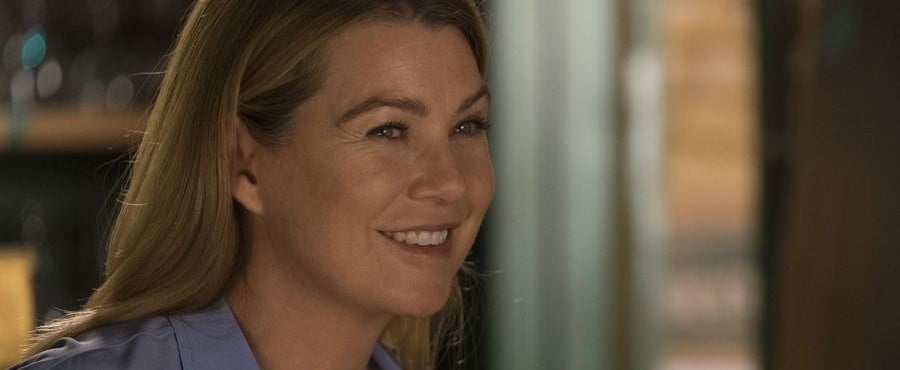 What Happened on Grey's Anatomy Season 14