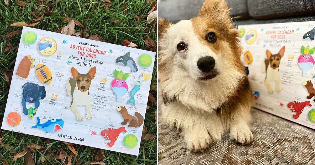 Trader Joe's Advent Calendars For Dogs Are Back on Shelves POPSUGAR