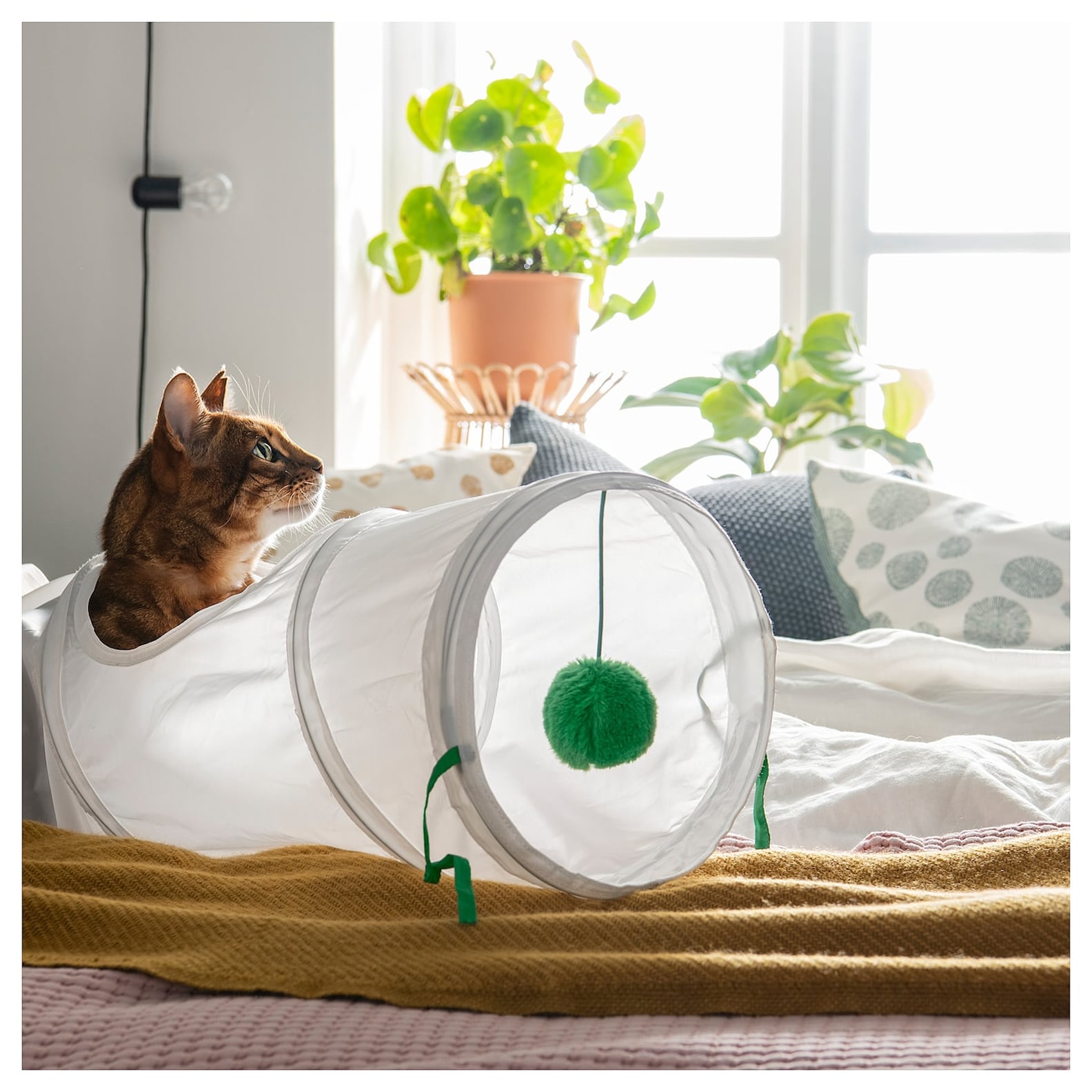 Ikea Launches New 2019 Lurvig Pet Collection POPSUGAR Pets