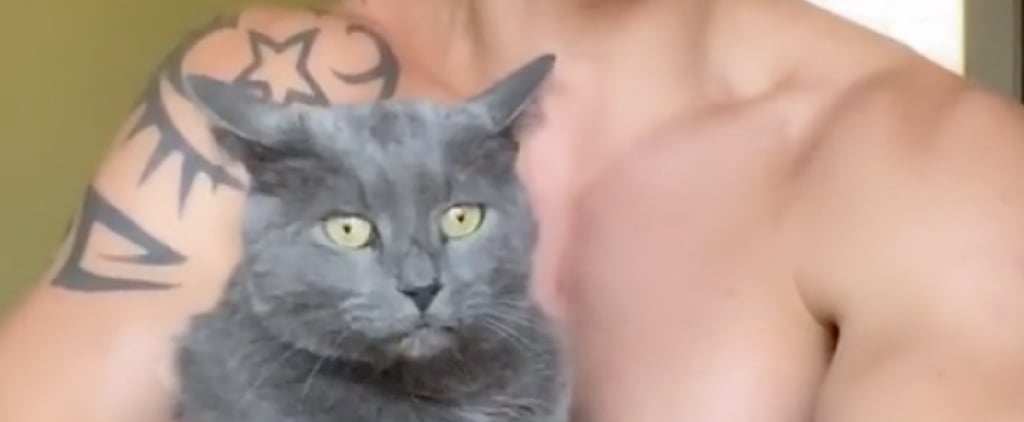 TikTok Videos of Man Singing to Disapproving Cat