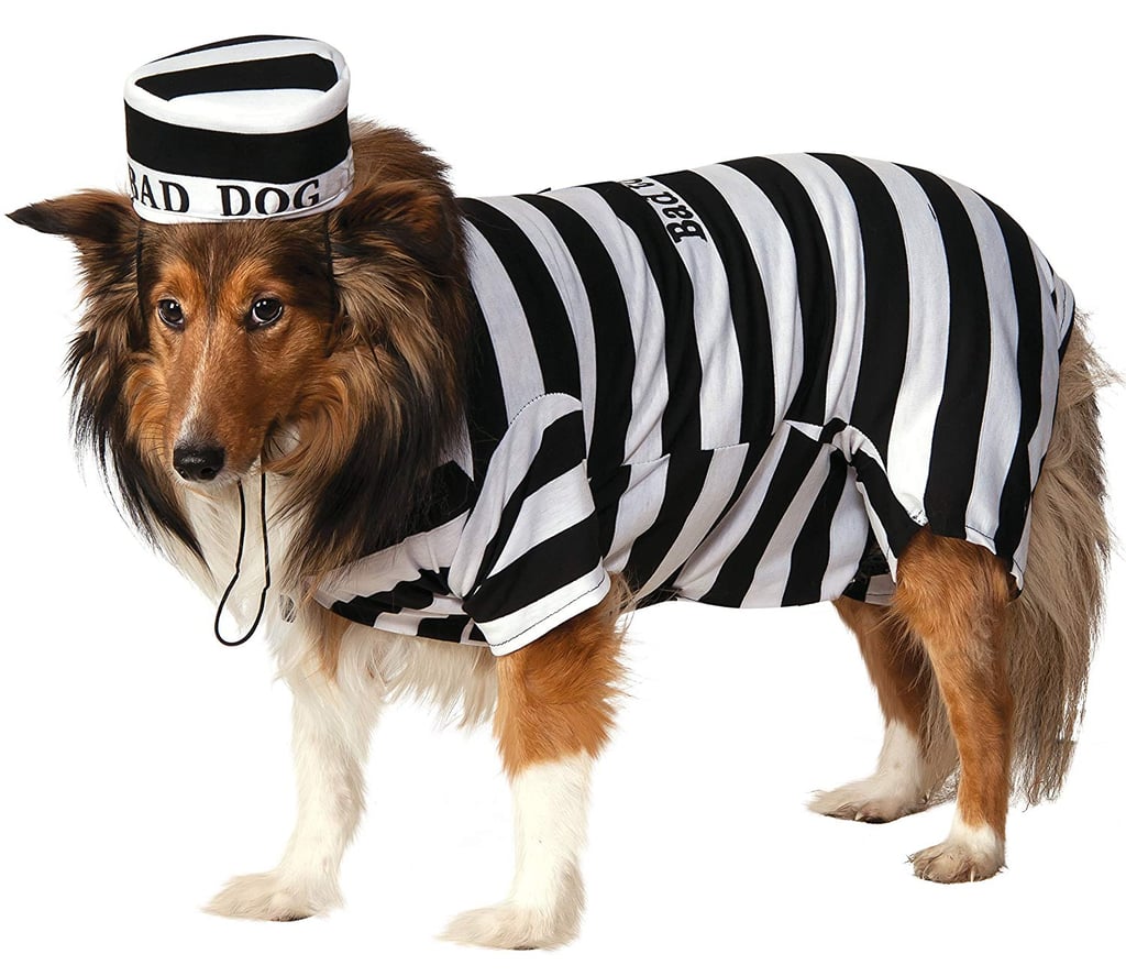 Prisoner Pet Costume