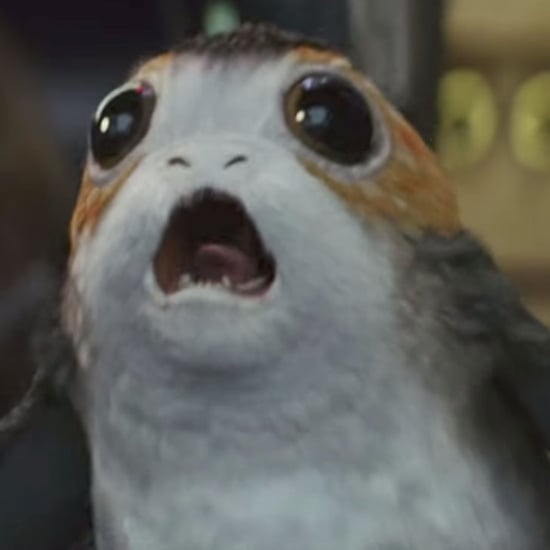 What Are Porgs in Star Wars: The Last Jedi?