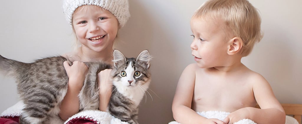Mom Adopts Terminally Ill Kitten to Teach Kids Compassion